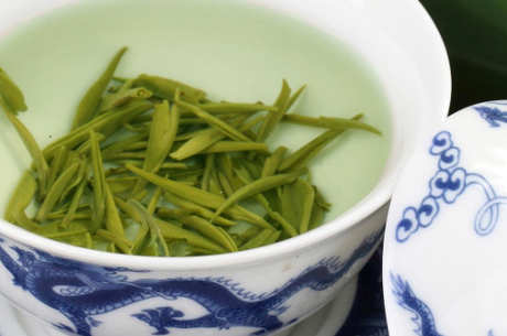 江西省九龙山茶区哪个县？