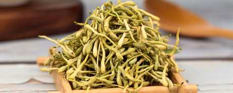 金银花茶能天天喝吗？
