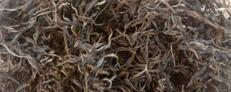 班章茶的特点