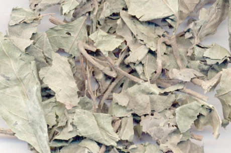 矮地茶别名