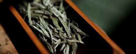 白茶年份越长越好吗？