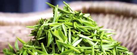 银针属于什么茶？