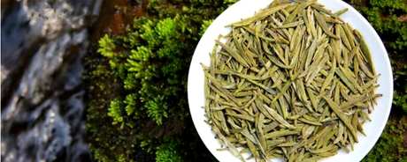 君山银针是绿茶吗？