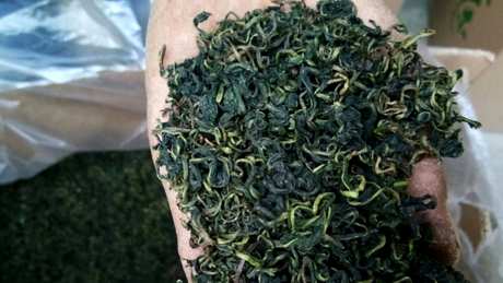 芙蓉花茶和蒲公英的区别