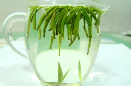 什么茶是金山翠芽？