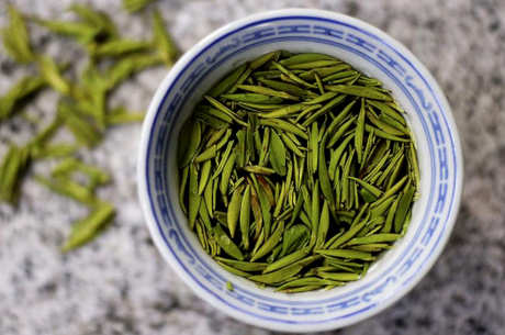 君山银针是什么茶？