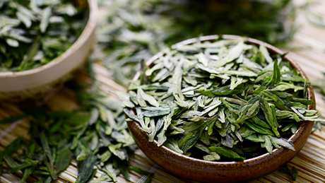 茶属于什么茶？