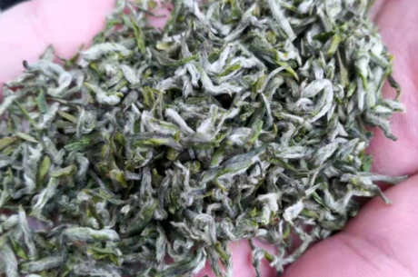 蒙顶甘露的特点