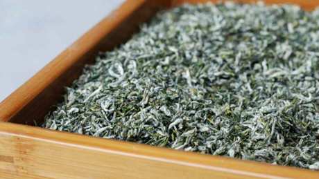 蒙顶甘露是绿茶吗？