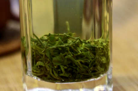 古丈毛尖是绿茶吗？