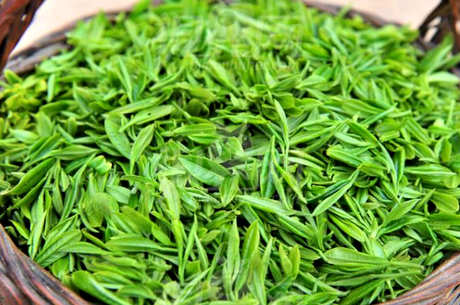 什么茶属于高山茶？