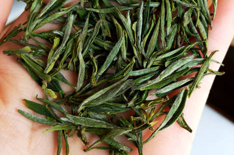 六大名茶是什么茶？