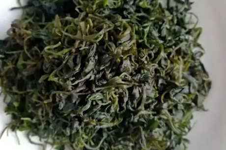 产地青山绿水茶