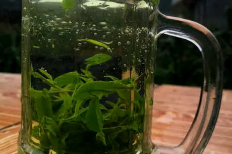 什么茶是青山绿水茶？
