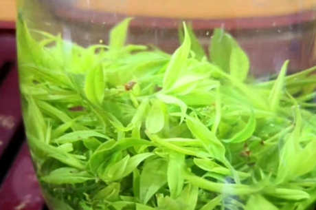 什么茶是青山绿水茶？