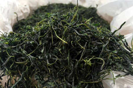 什么茶是青山绿水？