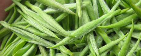 什么是生态茶？