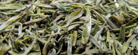 什么是通天岩茶？