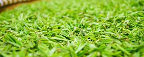 杭州十大名茶
