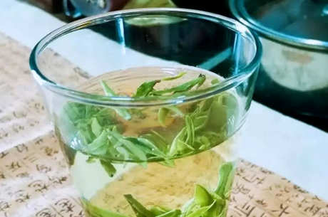江山绿牡丹的特点