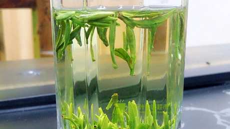太湖翠竹茶凉吗？