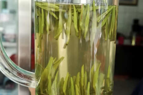 雀舌茶属于什么茶？