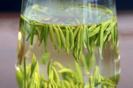 雀舌茶属于什么茶？
