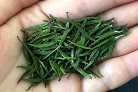 午子仙属于什么茶？