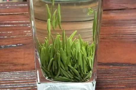 午子仙毫和汉中仙毫的区别