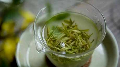 什么季节最好喝安吉白茶？