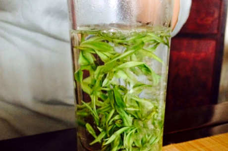 什么季节最好喝安吉白茶？
