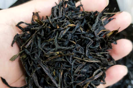 潮州产什么茶？