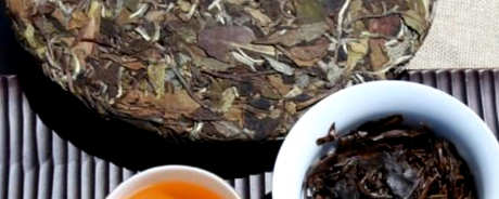 福鼎白茶怎么泡？