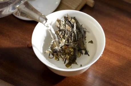 福鼎白茶怎么泡？