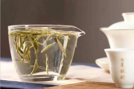 福鼎白茶怎么泡？