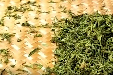普洱生茶和熟茶的区别