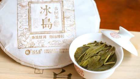 冰岛古树茶的口感特点