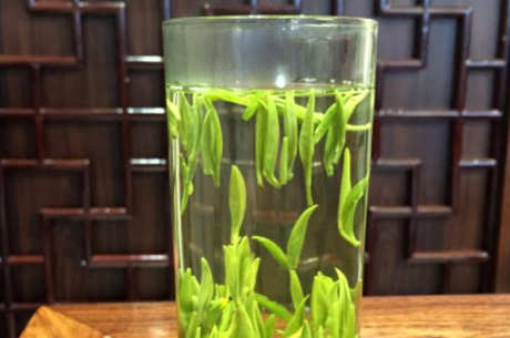 武阳春雨产地