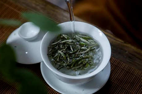 怎样泡白毫银针？