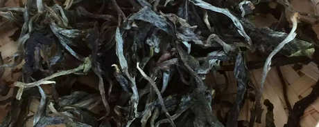 什么茶属于古树茶？