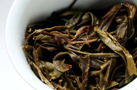南糯山古树茶的特点