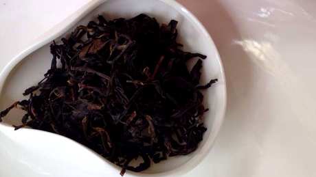 如何泡日月潭红茶？