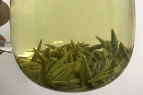茅山青峰是什么茶？