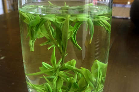 望海茶属于什么茶？