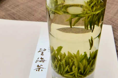 望海茶属于什么茶？