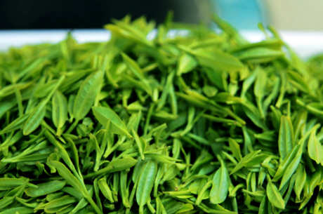 中国绿茶有哪些品种？