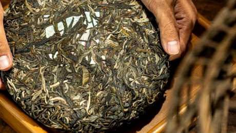 普洱沱茶和饼茶的区别