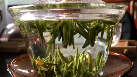 太湖翠竹是绿茶吗？