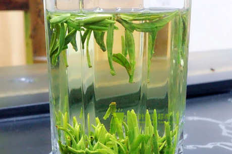 太湖翠竹是绿茶吗？
