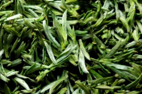 太湖翠竹是绿茶吗？